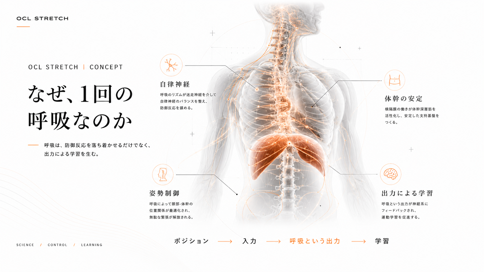 なぜ1回の呼吸なのか｜呼吸は学習させるための出力