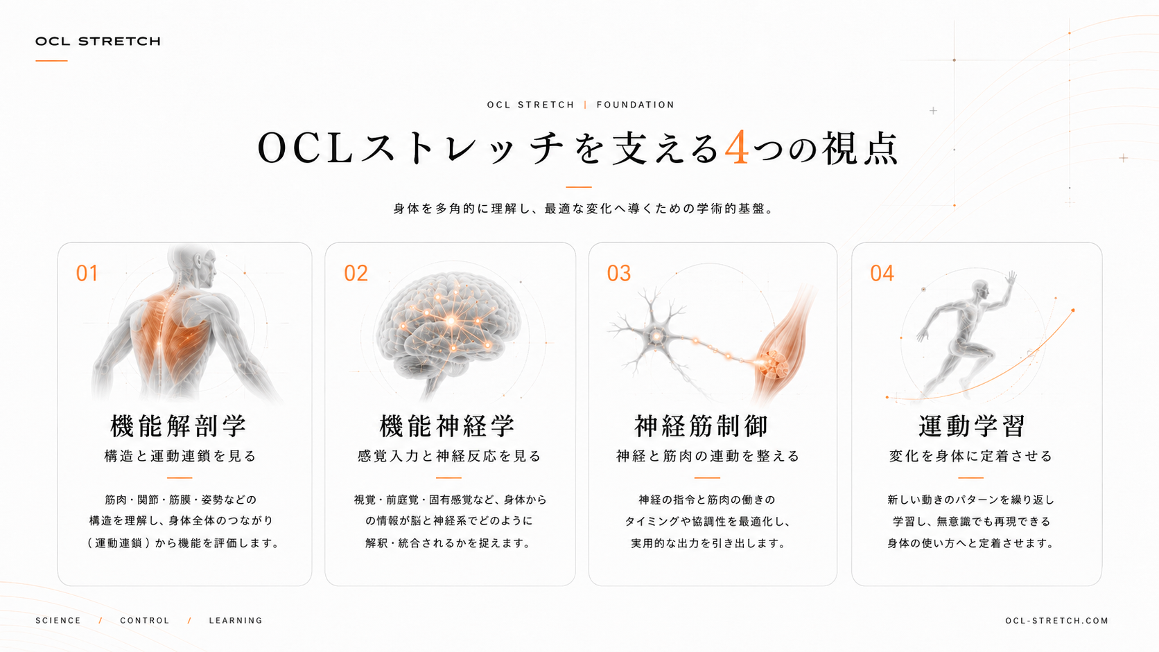OCLストレッチを支える理論構造｜機能解剖学・機能神経学・神経筋制御・運動学習