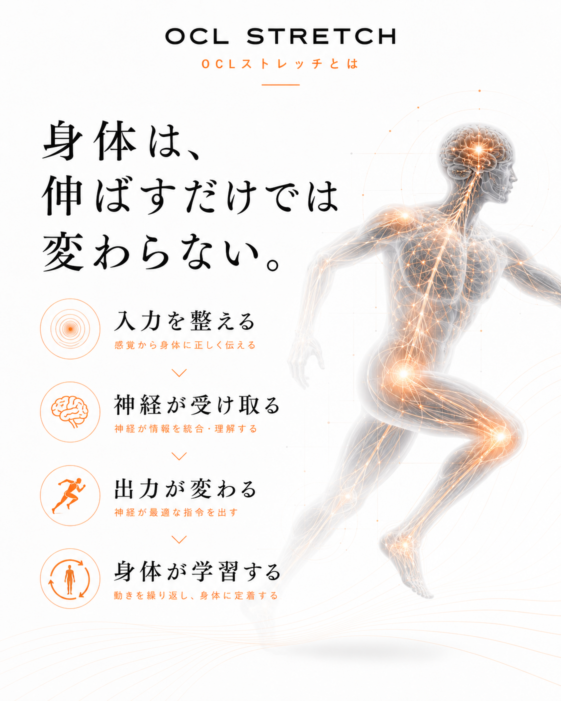 OCLストレッチとは｜身体は伸ばすだけでは変わらない