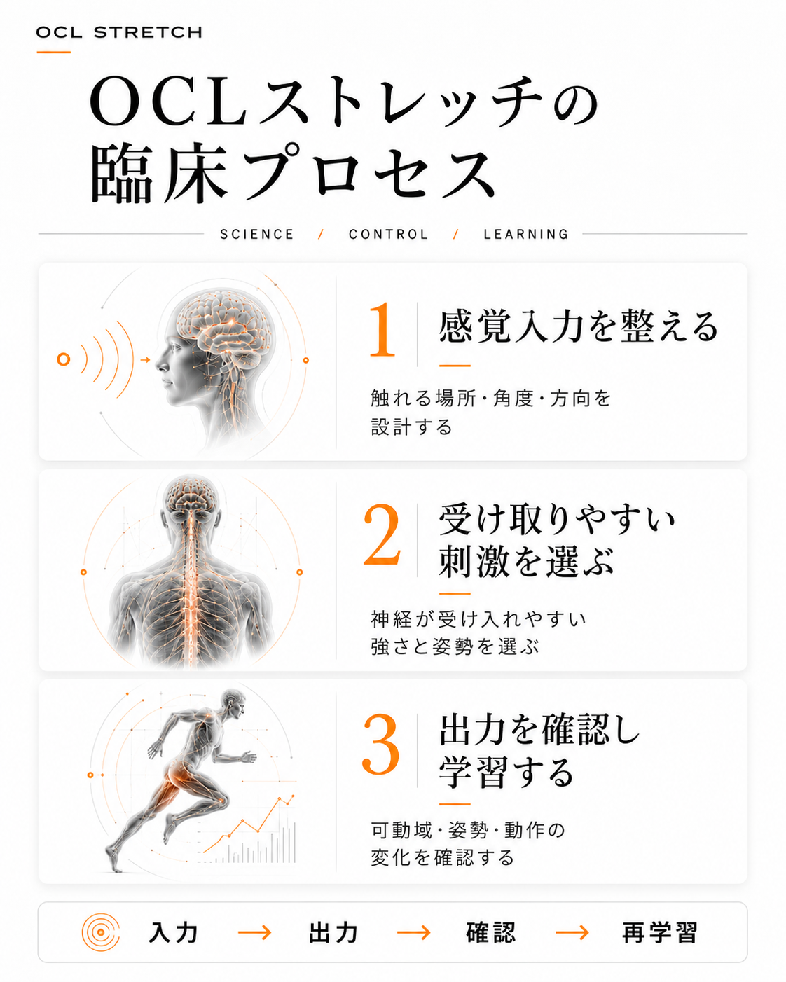 OCLストレッチの臨床プロセス｜感覚入力を整える・受け取りやすい刺激を選ぶ・出力を確認し学習する