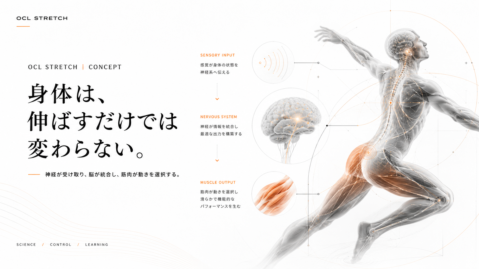 OCLストレッチとは｜身体は伸ばすだけでは変わらない
