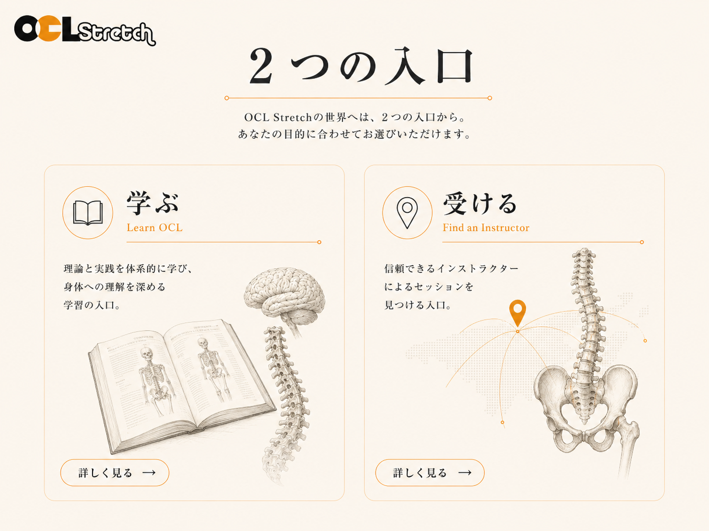 OCL Stretchの2つの入口｜学ぶ・受ける