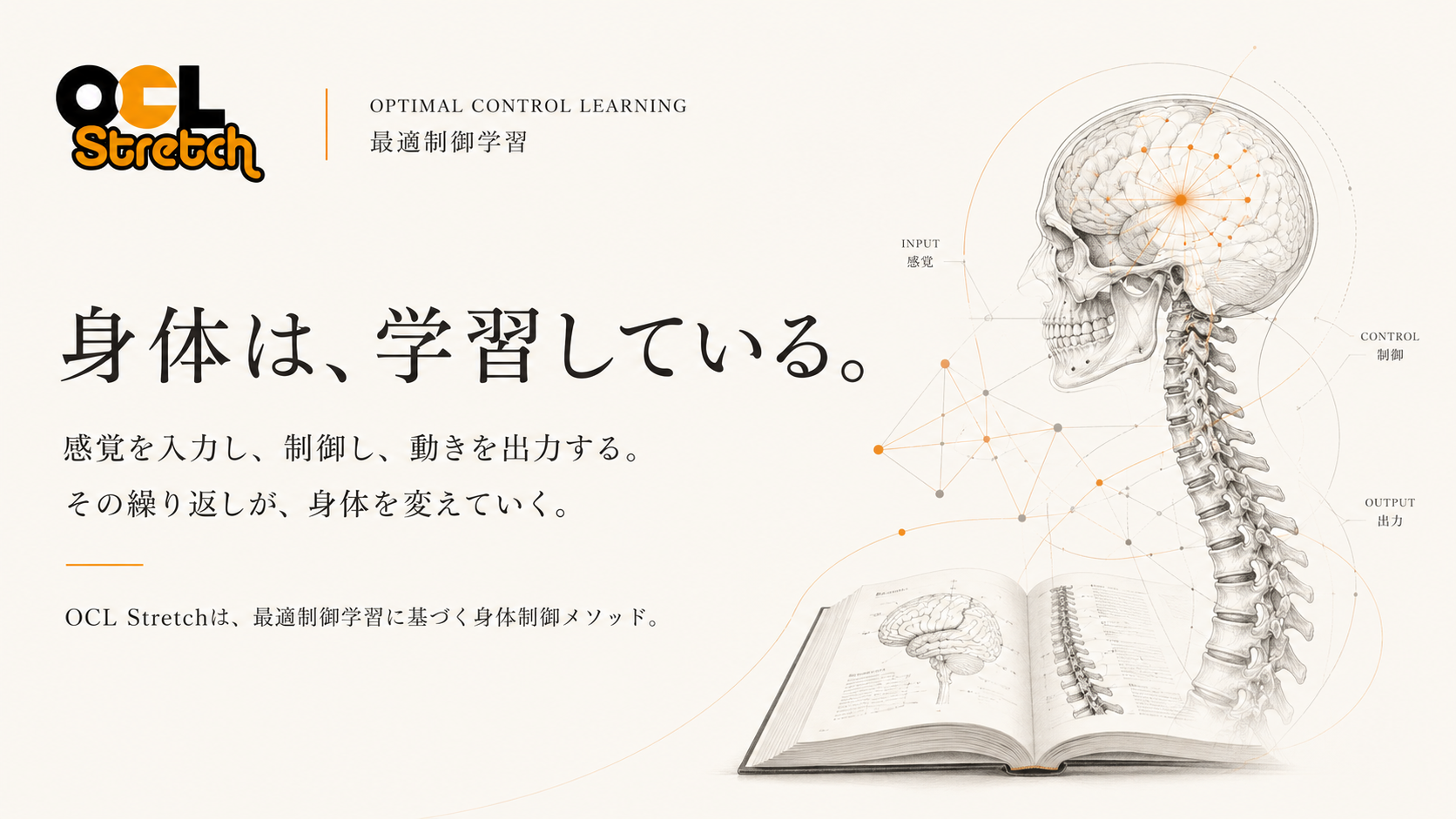 OCL Stretch｜Optimal Control Learning 最適制御学習に基づく身体制御メソッド