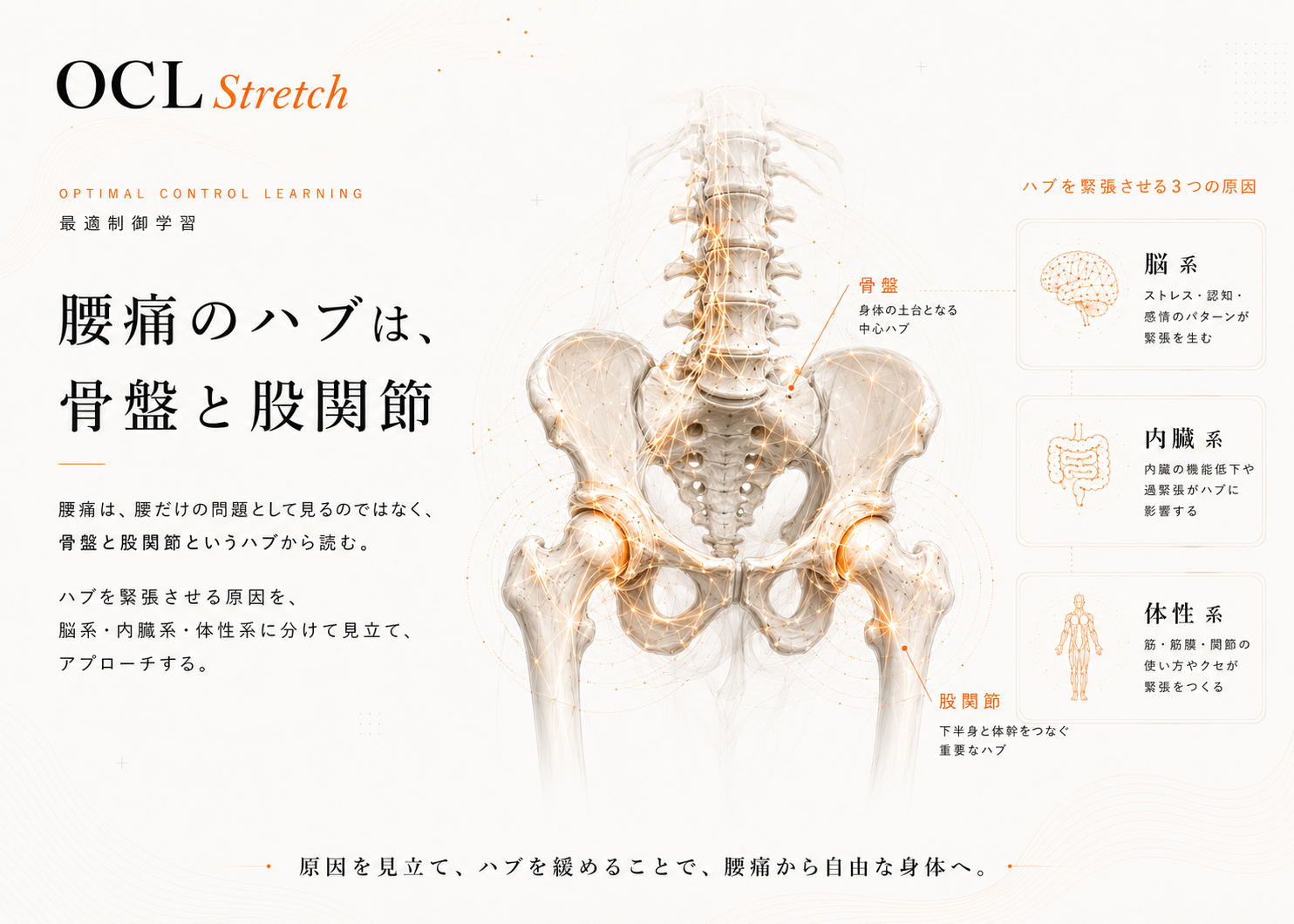 腰痛を骨盤・股関節のハブから見立てる図