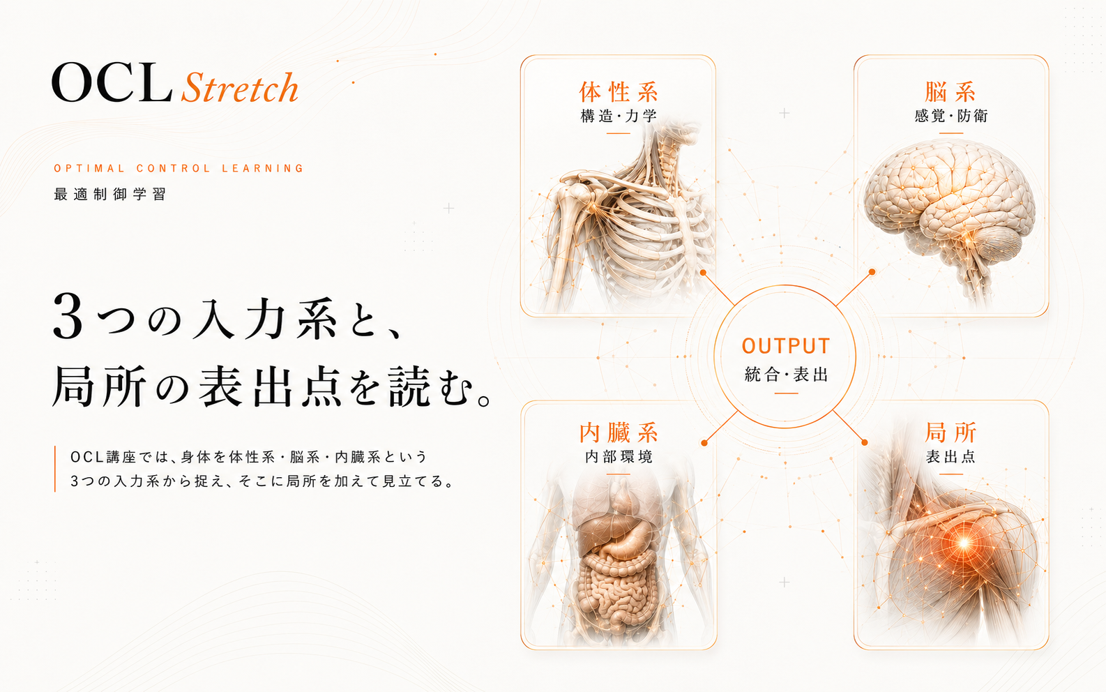 OCL講座で学ぶ体性系・脳系・内臓系・局所の4つの視点