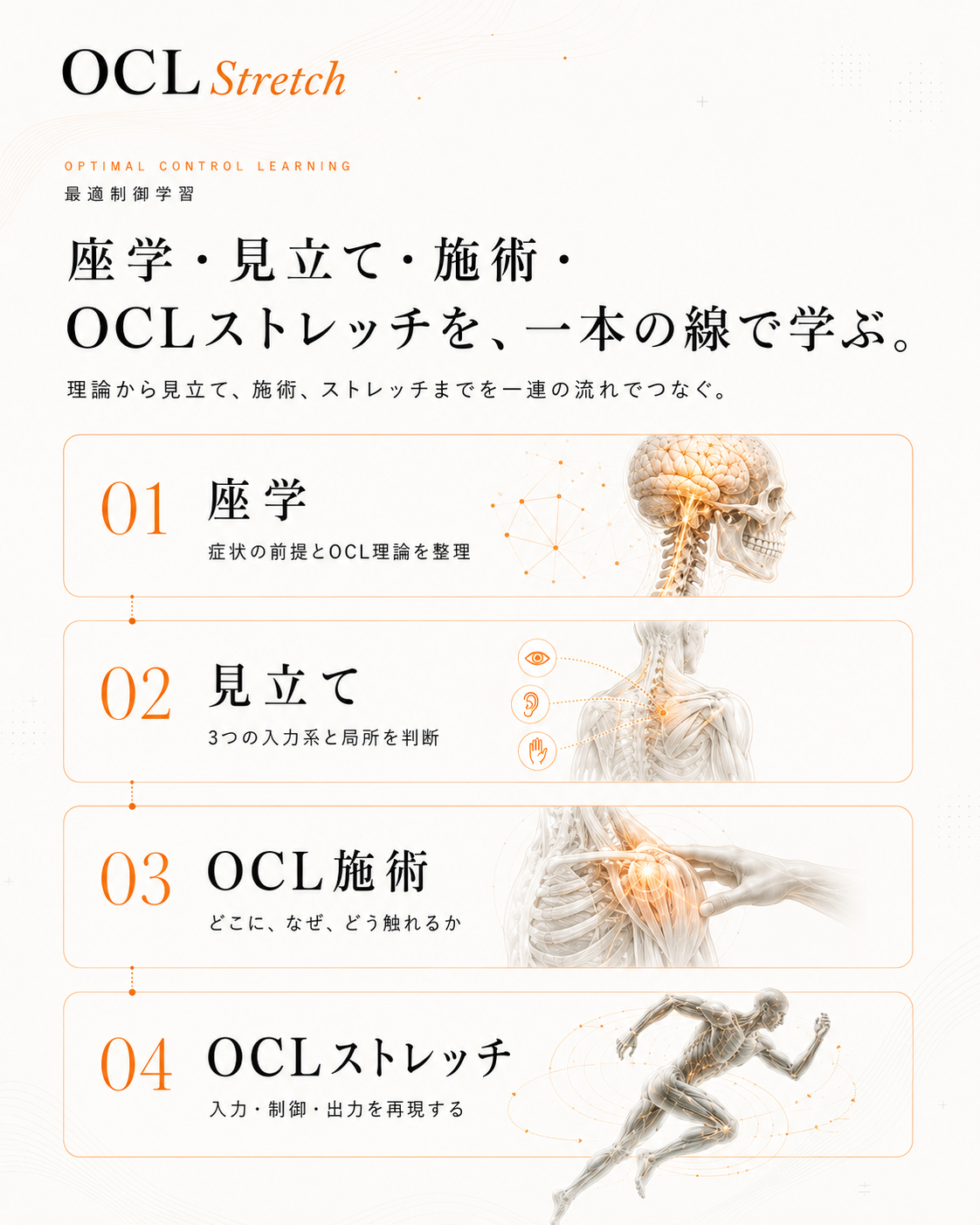 OCL講座の座学・見立て・OCL施術・OCLストレッチの学びの流れ
